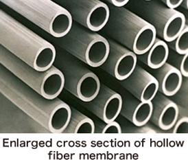 Enlarged cross section of hollow fiber membrane