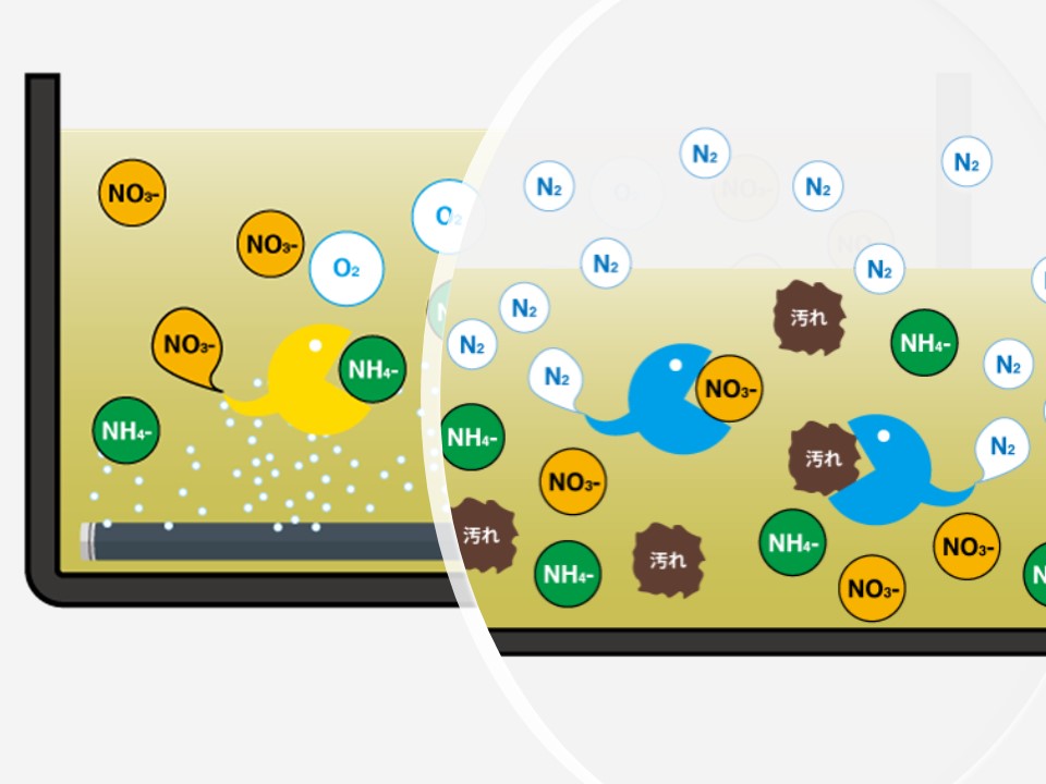 硝化脱窒法（生物学的処理法）